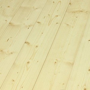 30_Fichte_A_SAM0172-Kopie