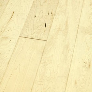 48_Kanadisch_Ahorn_eleganz_SAM0211-Kopie