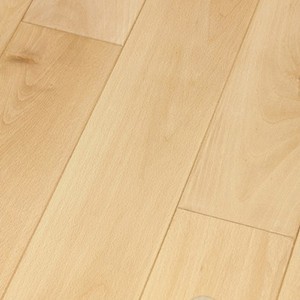 _SAM0195_Buche_gedaempft_eleganz-Kopie
